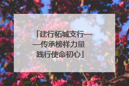 建行柘城支行——传承榜样力量 践行使命初心