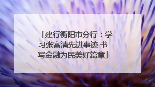 建行衡阳市分行：学习张富清先进事迹 书写金融为民美好篇章