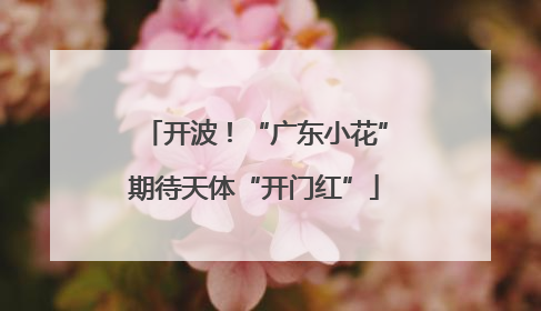 开波！“广东小花”期待天体“开门红”