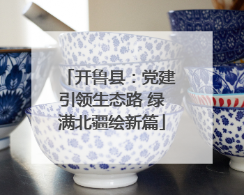 开鲁县：党建引领生态路 绿满北疆绘新篇