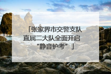 张家界市交警支队直属二大队全面开启“静音护考”
