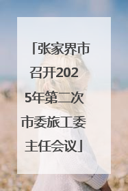 张家界市召开2025年第二次市委旅工委主任会议
