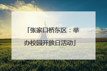 张家口桥东区：举办校园开放日活动