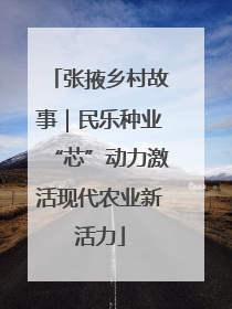张掖乡村故事｜民乐种业“芯”动力激活现代农业新活力