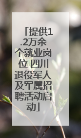 提供1.2万余个就业岗位 四川退役军人及军属招聘活动启动