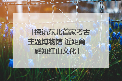 探访东北首家考古主题博物馆 近距离感知红山文化