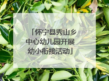 怀宁县秀山乡中心幼儿园开展幼小衔接活动