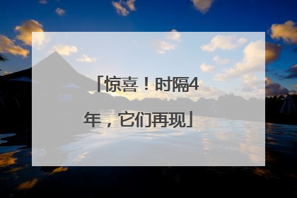 惊喜！时隔4年，它们再现