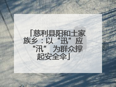慈利县阳和土家族乡：以“迅”应“汛” 为群众撑起安全伞