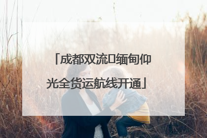 成都双流⇌缅甸仰光全货运航线开通