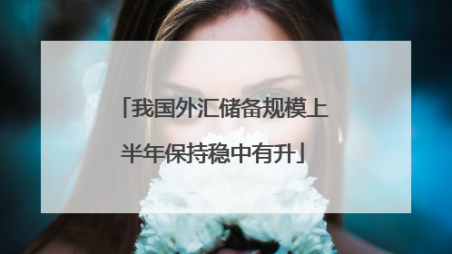我国外汇储备规模上半年保持稳中有升