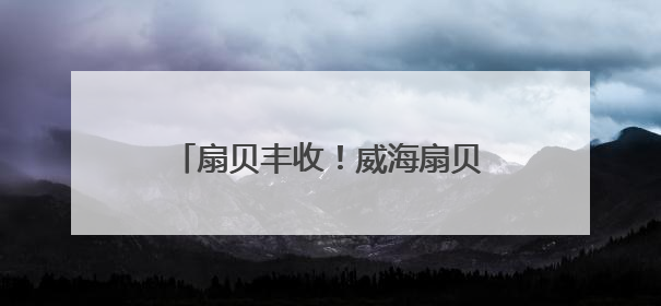 扇贝丰收！威海扇贝从这里“走向”全国