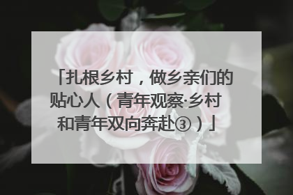 扎根乡村，做乡亲们的贴心人（青年观察·乡村和青年双向奔赴③）