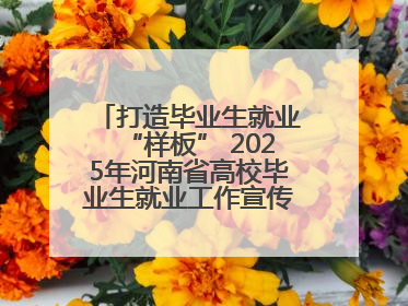 打造毕业生就业“样板” 2025年河南省高校毕业生就业工作宣传月启动