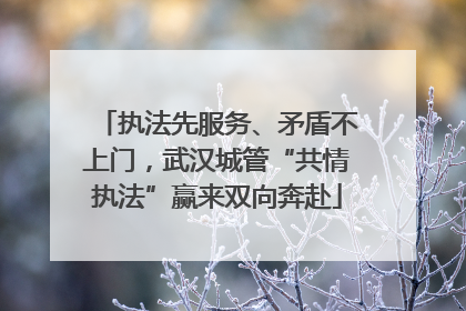 执法先服务、矛盾不上门，武汉城管“共情执法”赢来双向奔赴