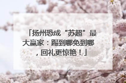 扬州恐成“苏超”最大赢家：踢到哪免到哪，回礼更惊艳！