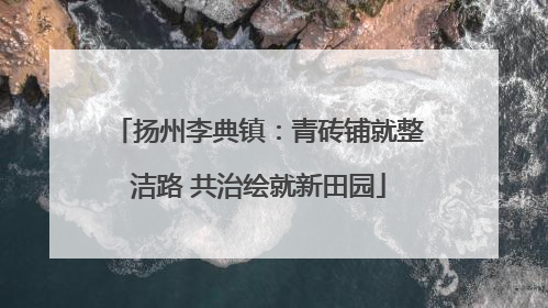 扬州李典镇：青砖铺就整洁路 共治绘就新田园