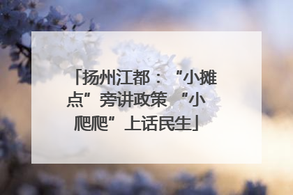 扬州江都：“小摊点”旁讲政策 “小爬爬”上话民生