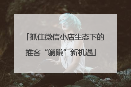 抓住微信小店生态下的推客“躺赚”新机遇