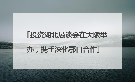 投资湖北恳谈会在大阪举办，携手深化鄂日合作