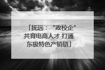 抚远：“政校企”共育电商人才 打通东极特色产销链