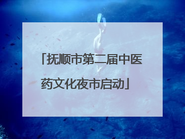 抚顺市第二届中医药文化夜市启动