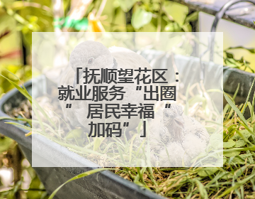 抚顺望花区：就业服务“出圈” 居民幸福“加码”