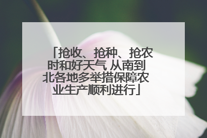抢收、抢种、抢农时和好天气 从南到北各地多举措保障农业生产顺利进行