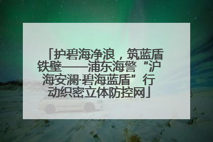 护碧海净浪，筑蓝盾铁壁——浦东海警“沪海安澜·碧海蓝盾”行动织密立体防控网