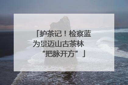 护茶记！检察蓝为景迈山古茶林 “把脉开方”