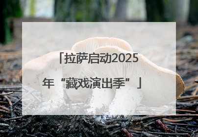 拉萨启动2025年“藏戏演出季”