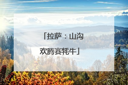 拉萨：山沟欢腾赛牦牛