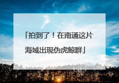 拍到了！在南通这片海域出现伪虎鲸群