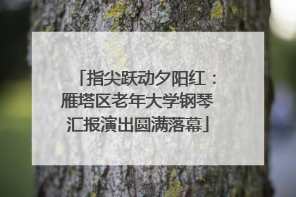 指尖跃动夕阳红：雁塔区老年大学钢琴汇报演出圆满落幕