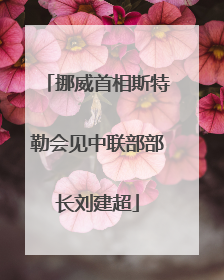 挪威首相斯特勒会见中联部部长刘建超