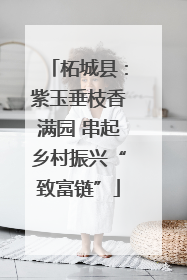 柘城县：紫玉垂枝香满园 串起乡村振兴“致富链”