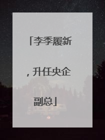 李季履新，升任央企副总