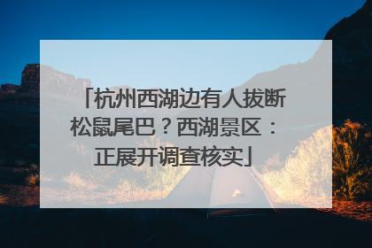杭州西湖边有人拔断松鼠尾巴？西湖景区：正展开调查核实