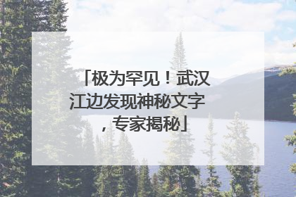 极为罕见！武汉江边发现神秘文字，专家揭秘