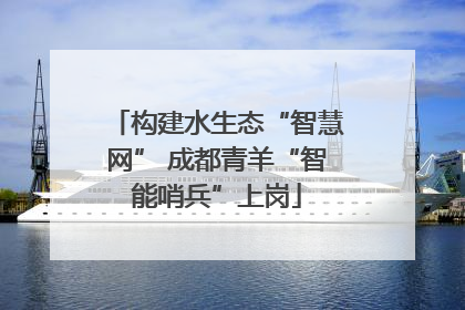 构建水生态“智慧网” 成都青羊“智能哨兵”上岗