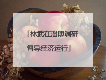 林武在淄博调研督导经济运行