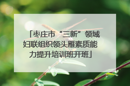 枣庄市“三新”领域妇联组织领头雁素质能力提升培训班开班