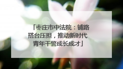 枣庄市中法院：铺路搭台压担，推动新时代青年干警成长成才