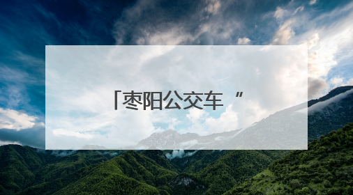枣阳公交车“低碳”迎亲 诠释别样浪漫