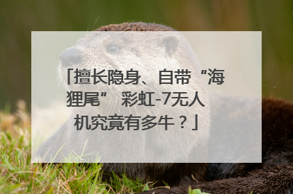 擅长隐身、自带“海狸尾” 彩虹-7无人机究竟有多牛？