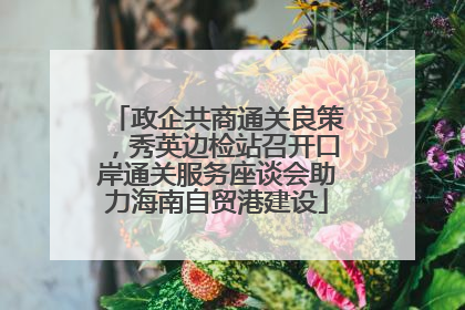 政企共商通关良策，秀英边检站召开口岸通关服务座谈会助力海南自贸港建设
