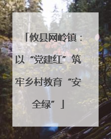 攸县网岭镇：以“党建红”筑牢乡村教育“安全绿”