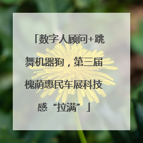 数字人顾问+跳舞机器狗，第三届槐荫惠民车展科技感“拉满”