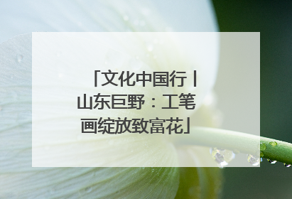 文化中国行丨山东巨野：工笔画绽放致富花