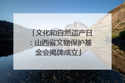 文化和自然遗产日：山西省文物保护基金会揭牌成立